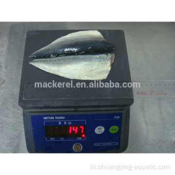 चीनी जमे हुए मछली मैकेरल मैकेरल fillets फ्लैप्स